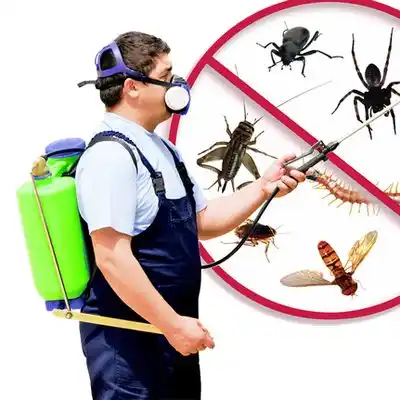 pest control Hays
